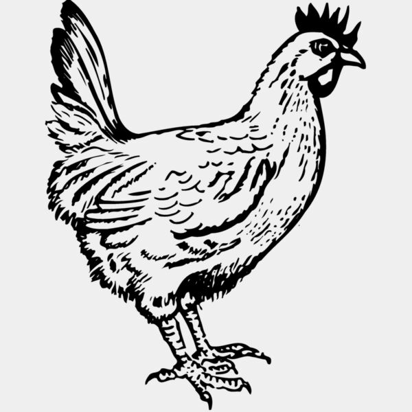 CHICK004 Thumbnail