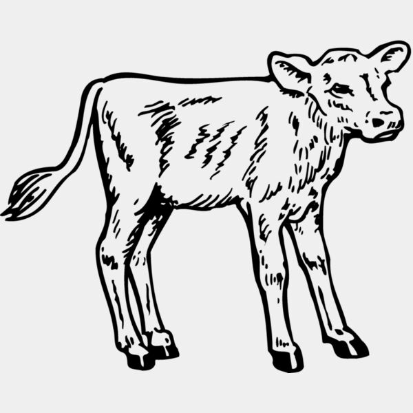 COW028 Thumbnail