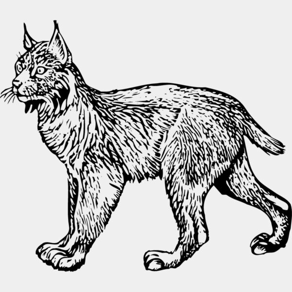 BOBCAT01 Thumbnail