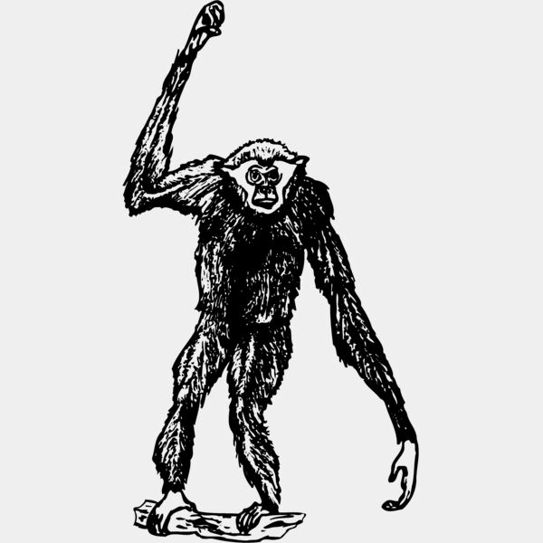 MONK003 Thumbnail