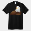 Tall Core Cotton Tee Thumbnail